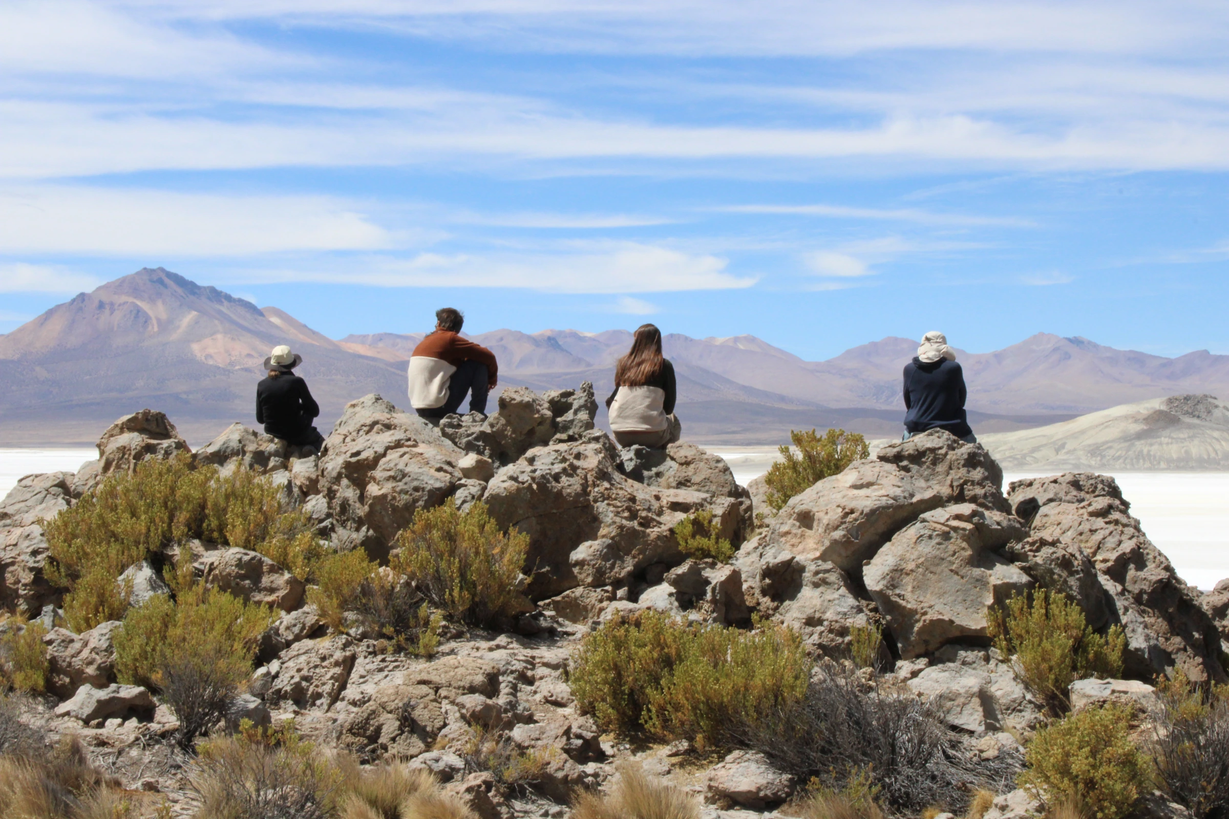 Cuatro viajeros de espaldas contemplan el salar y las montañas