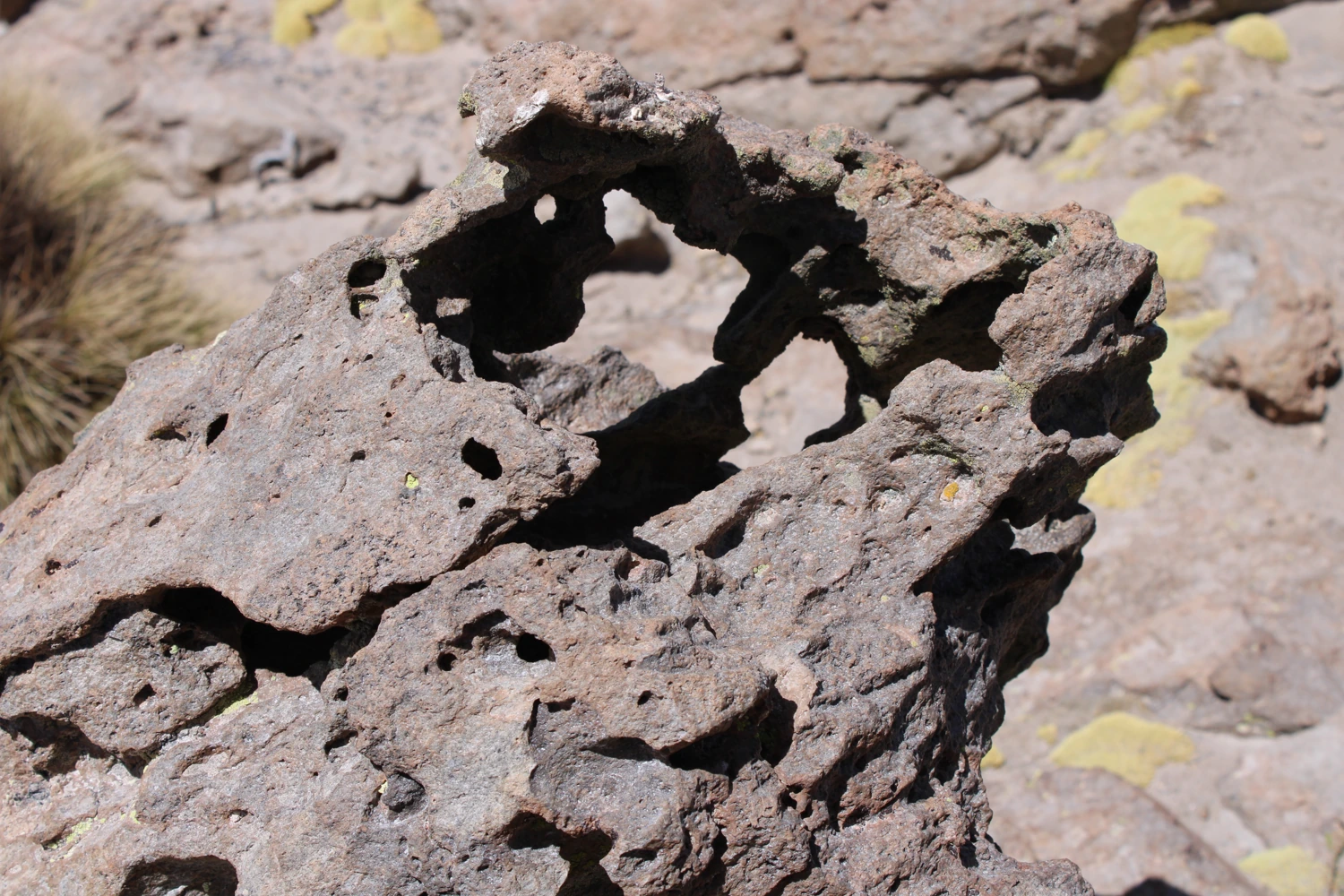 Detalle de una roca erosionada naturalmente