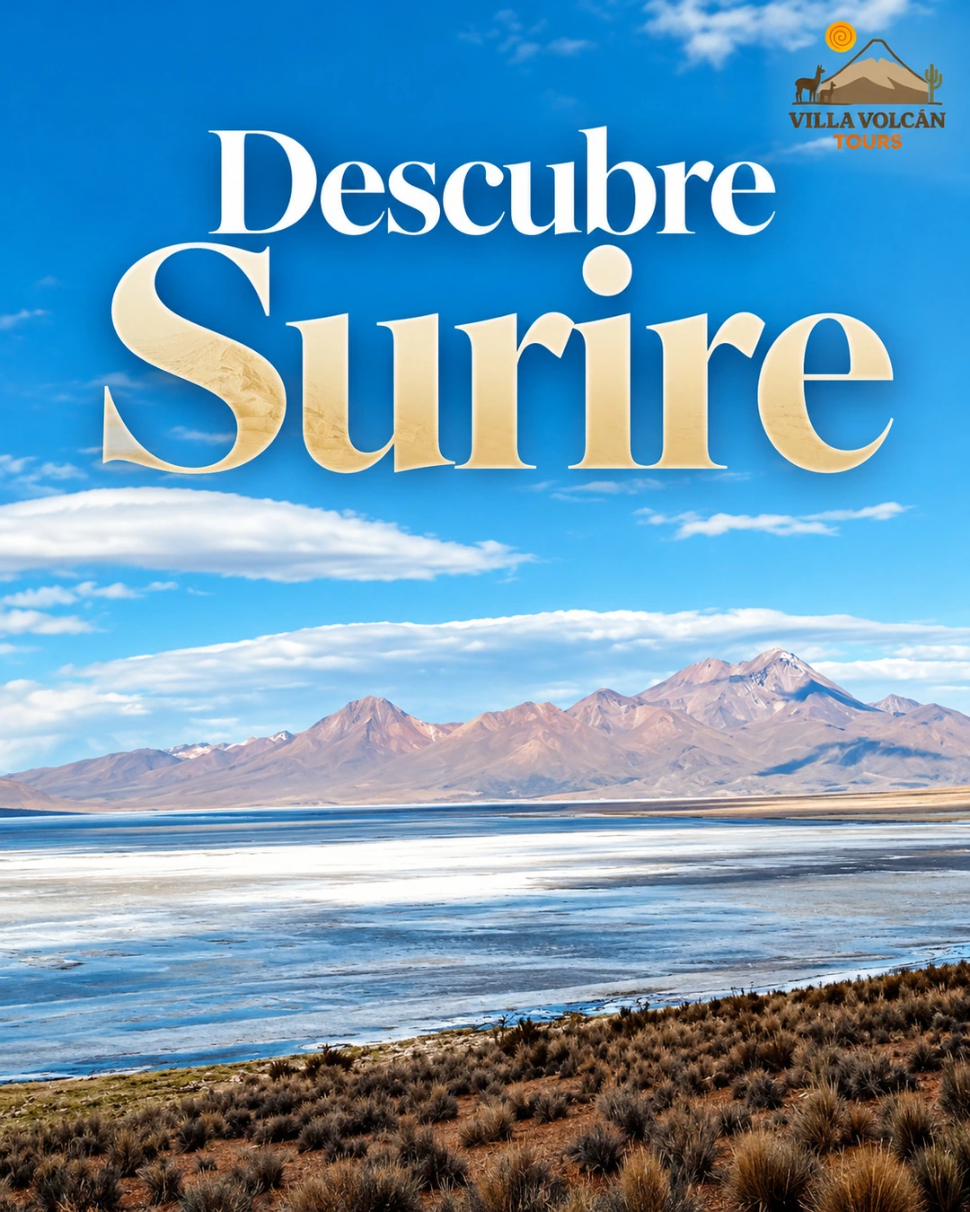 Descubre Surire